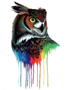 Colorful owl
