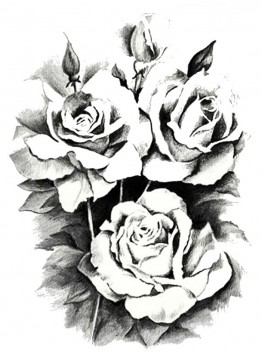 Black roses garden