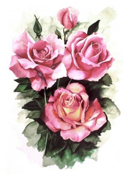 Pink roses garden